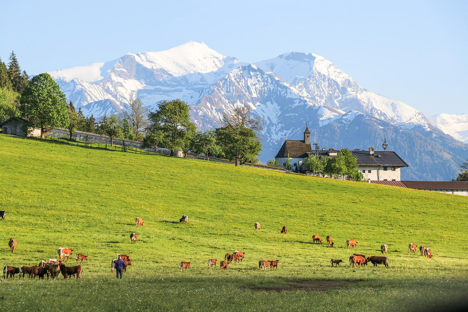 bauernhoftiere.jpg