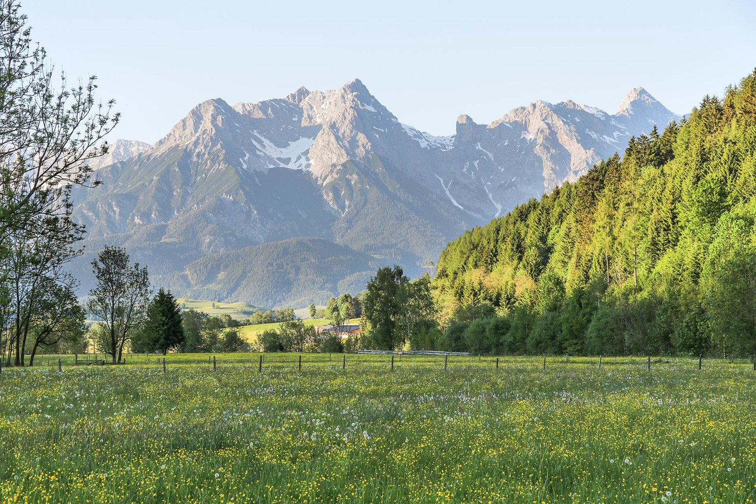 Berglandschaft rund um Maishofen
