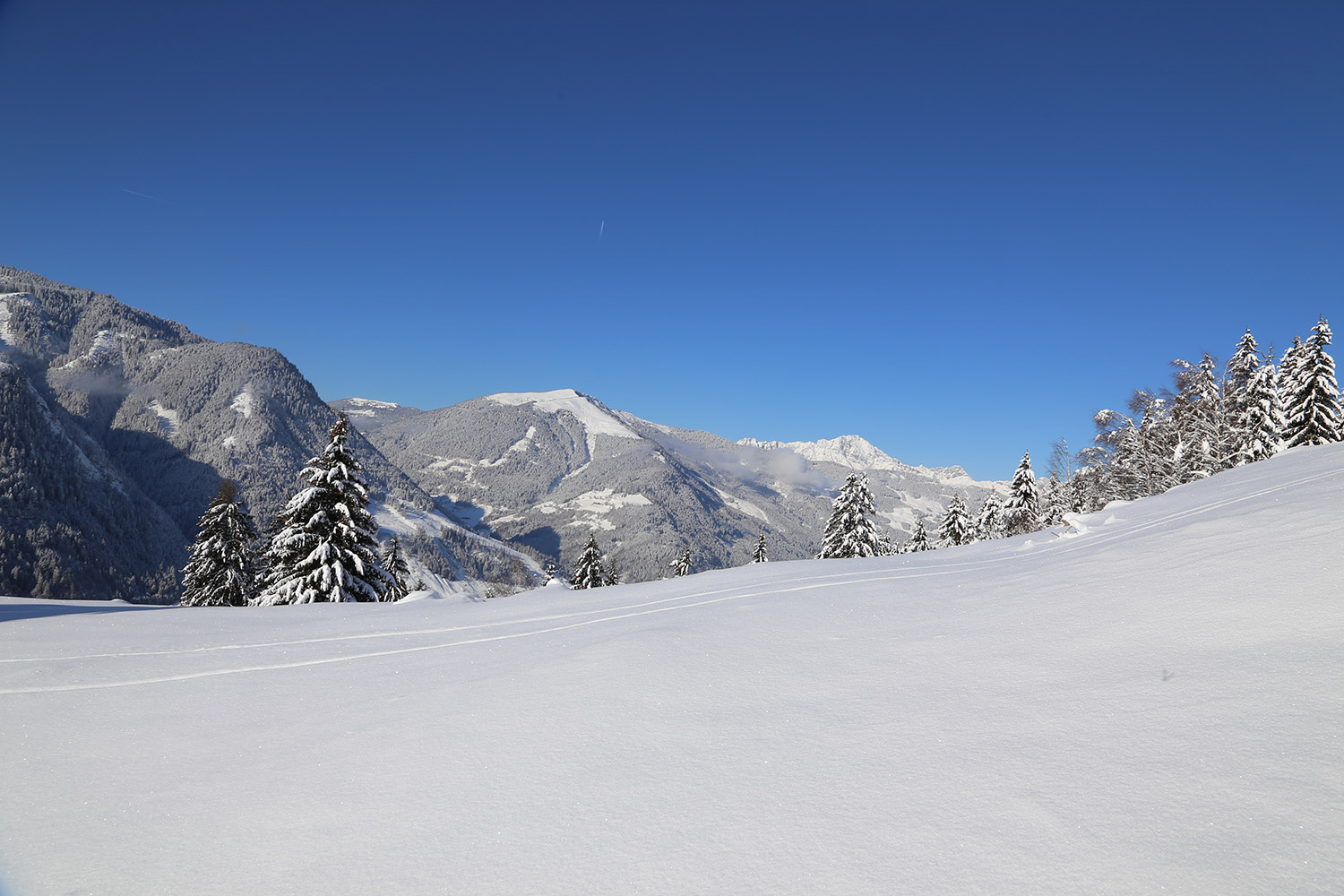 winterwanderung.jpg