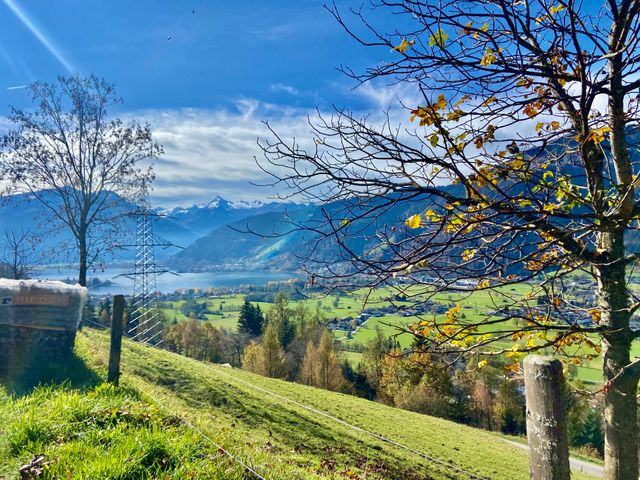 Ferienwohnungen Neuhof